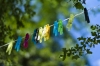 filcouleur-1216365.jpg