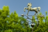 girouette-1218182.jpg