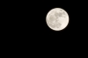lune-1213313.jpg