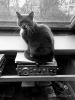 pacha-01032010042.jpg