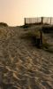 002NOIRMOUTIER.jpg