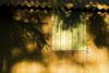 004lumieres_et_couleurs.jpg