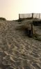 015NOIRMOUTIER.jpg