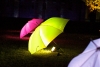 018LUMIERES.jpg