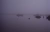 024coulonges.jpg