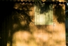 026LUMIERES.jpg