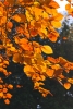 035LUMIERES.jpg