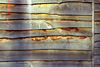 039LUMIERES.jpg