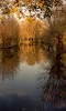 041LUMIERES.jpg