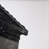091031_tif20.jpg