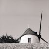 091031_tif22.jpg