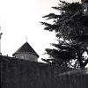 091031_tif6.jpg