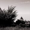 091031_tif7.jpg