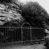 091121_tif10.jpg