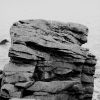 091121_tif11.jpg
