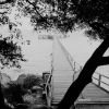 091121_tif4.jpg