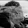 091121_tif8.jpg