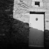 091124_tif9.jpg