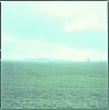 BLADCOLOR_-5-.jpg