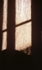 FENTRE.jpg