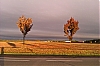 IMAG0012.jpg