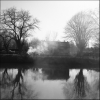 MAGNE-1.jpg