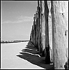 NOIRMOUT~0.jpg