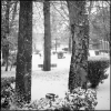 PARCDEC2010NEIGE-1.jpg