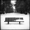 bancparccoulongesneige2010-.jpg