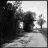chemin2.jpg