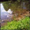 reflets2-1.jpg