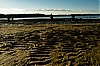 DSCF1196.jpg