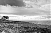 DSCF1231.jpg
