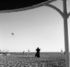 wix2_cover.jpg
