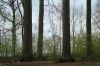 DSC00373.jpg