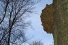 DSC00401.jpg