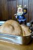 poulet-02691.jpg