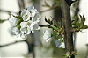 L1006723Web.jpg