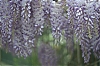 L1006777Web.jpg