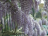 L1006780recadrWeb.jpg