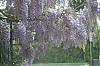 L1006781Web.jpg