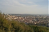 WebL1009070.jpg