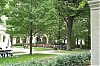 WebL1009114.jpg