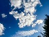 1ECD100C-BE82-4632-BECC-13449CAAD5B1.jpeg