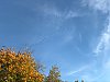 31D49488-9CCC-4FFB-BAB1-5E0F0B02E402.jpeg