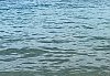 3324682F-C90A-4719-B9B7-2EBB87C8A874.jpeg