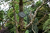 Badeb-Baden_11.jpg