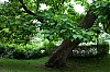 Badeb-Baden_12.jpg