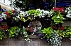 Badeb-Baden_3.jpg