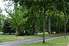 Badeb-Baden_6.jpg
